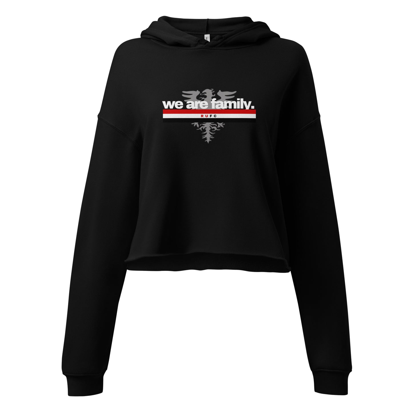 We Are a Family Crop Hoodie