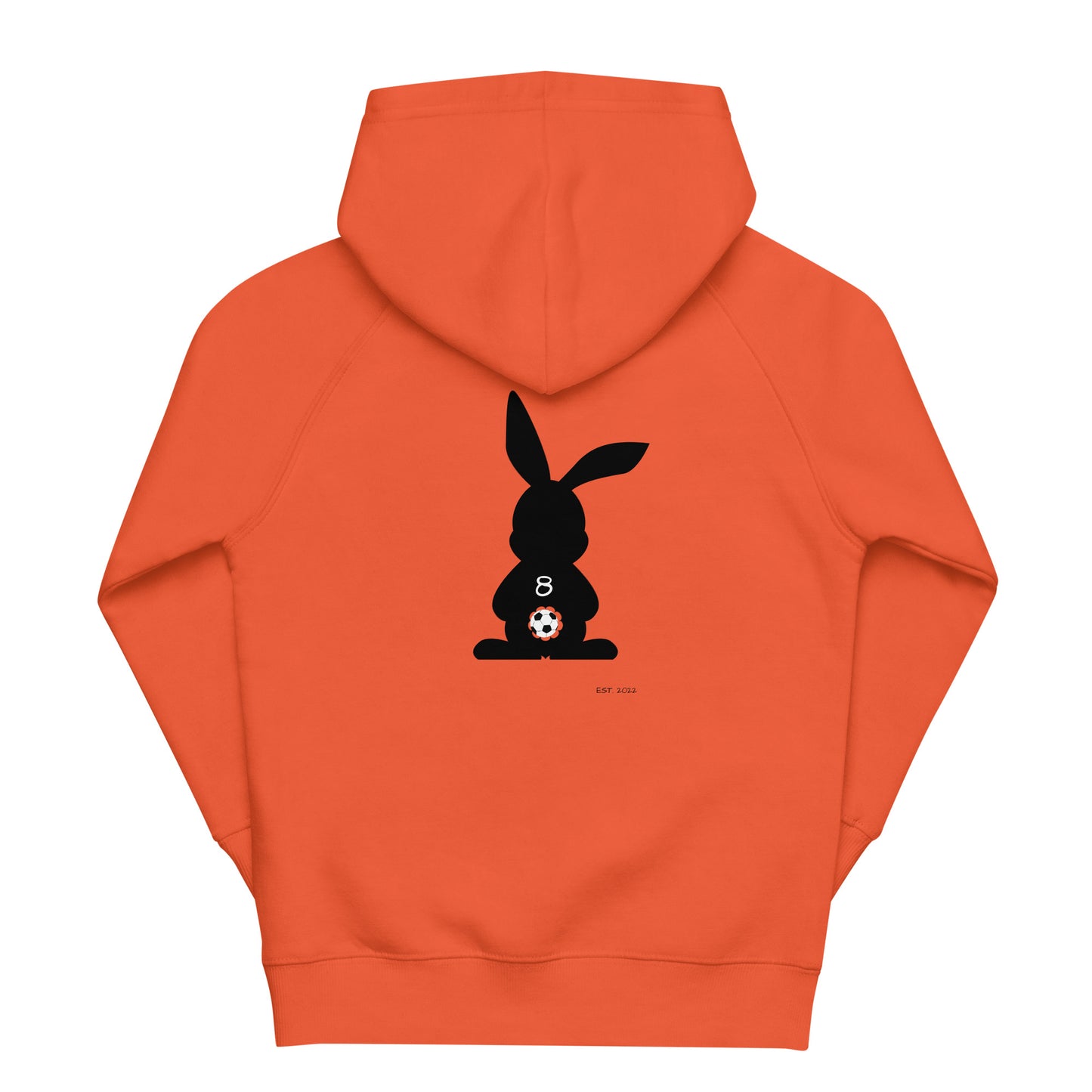 Soccer Rabbit