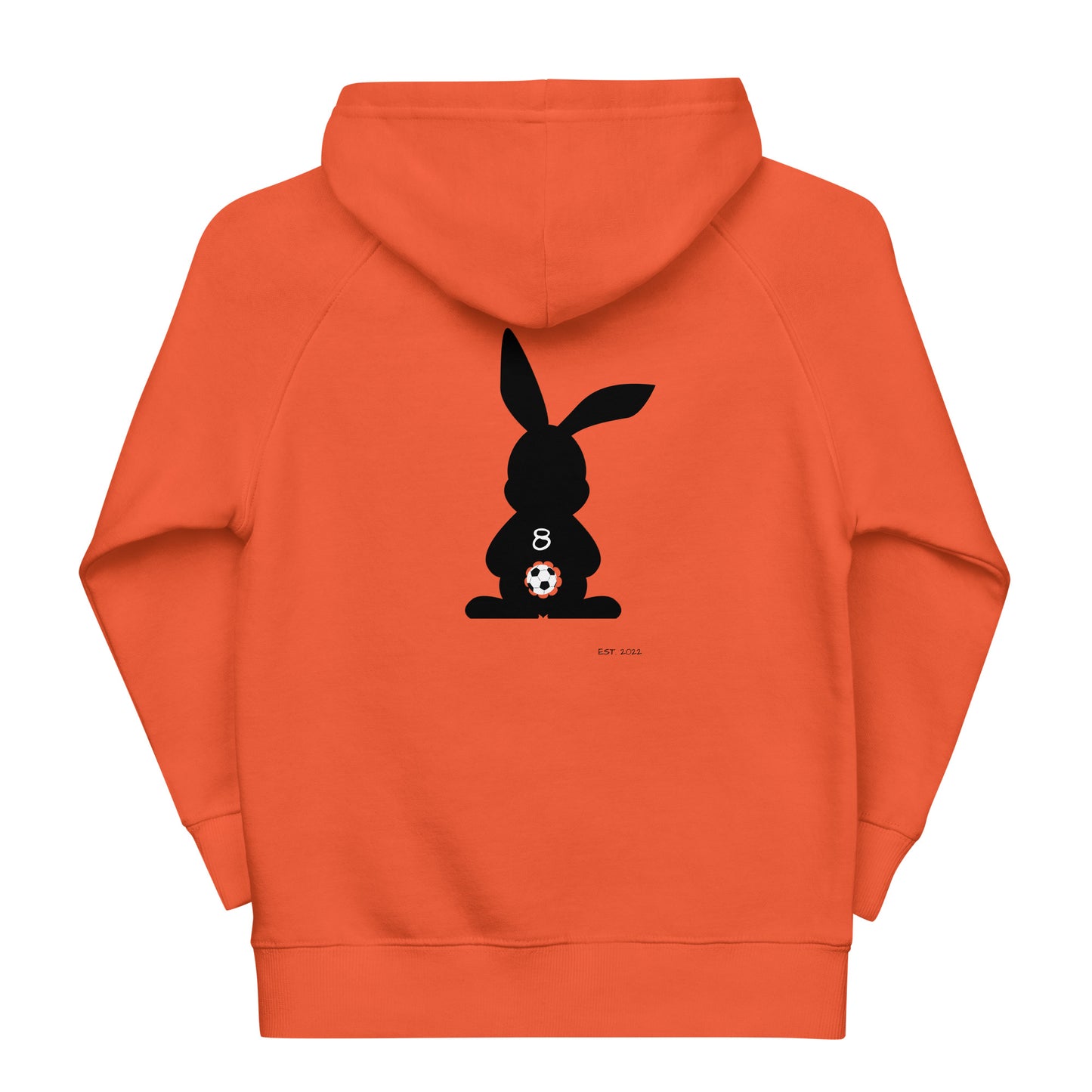 Soccer Rabbit